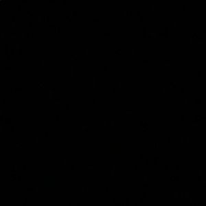 Meet your Posher, Lalaine